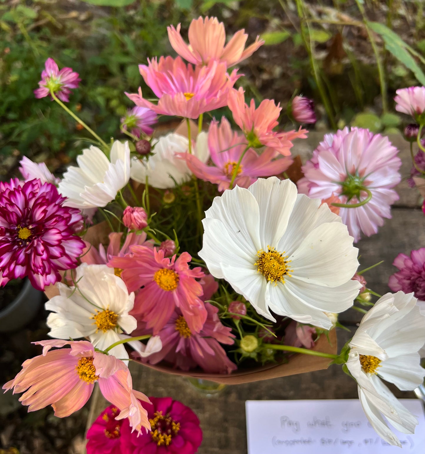 Fresh Flowers with Cosmos at The Little Farm on Watauga - Johnson City, TN