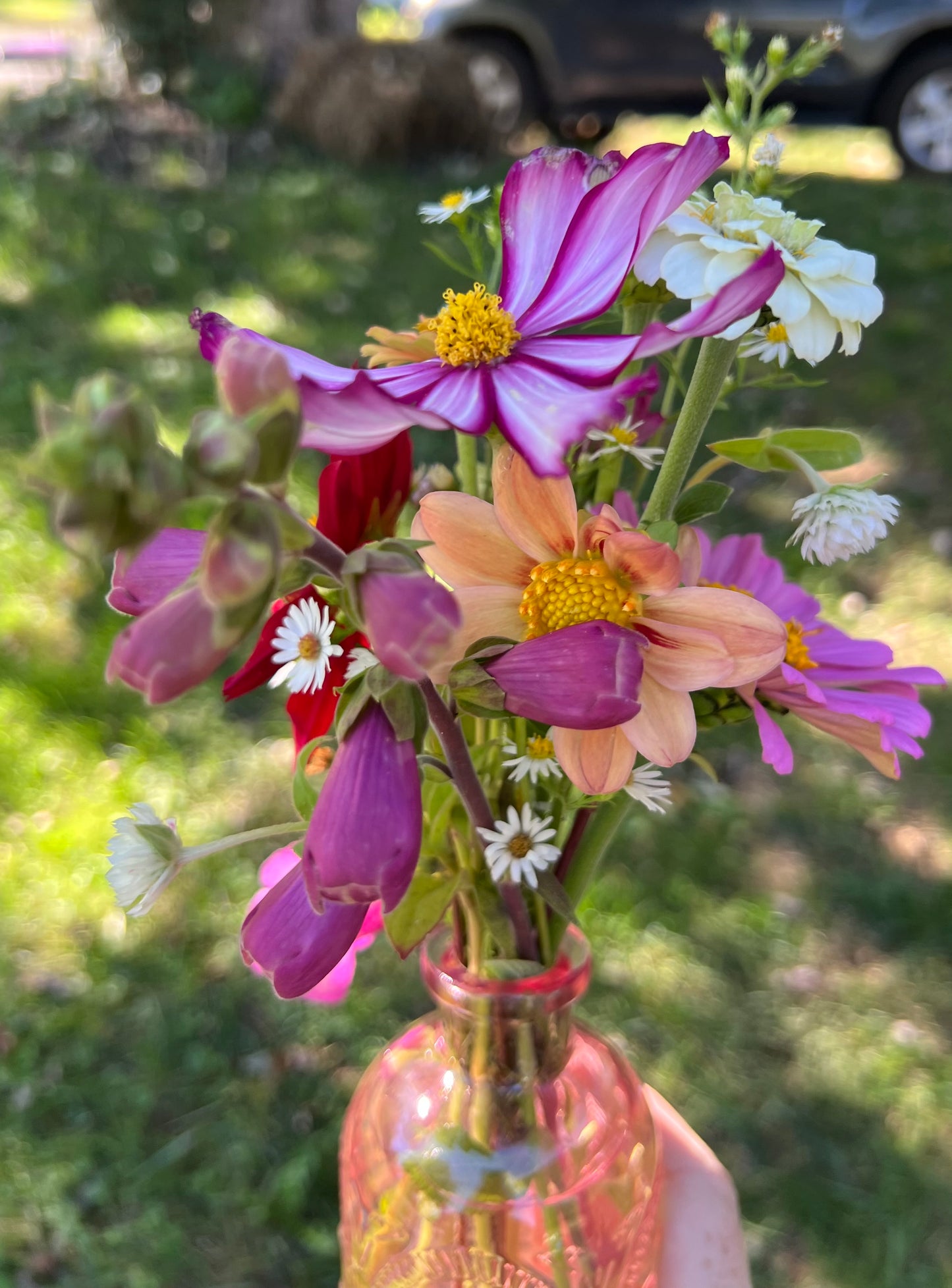 Bud Vases