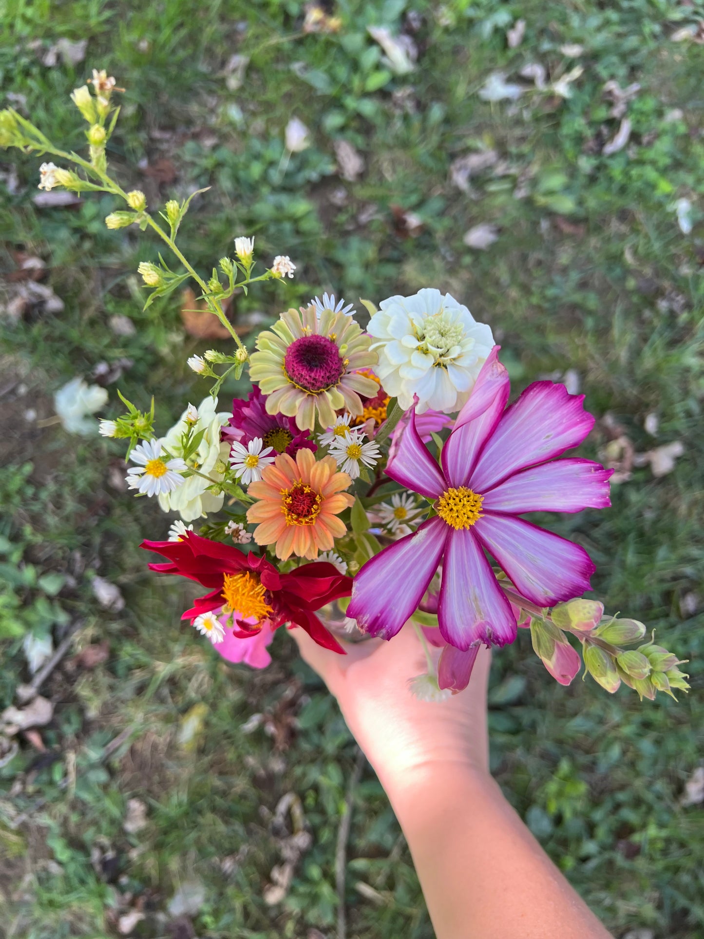 Bud Vases