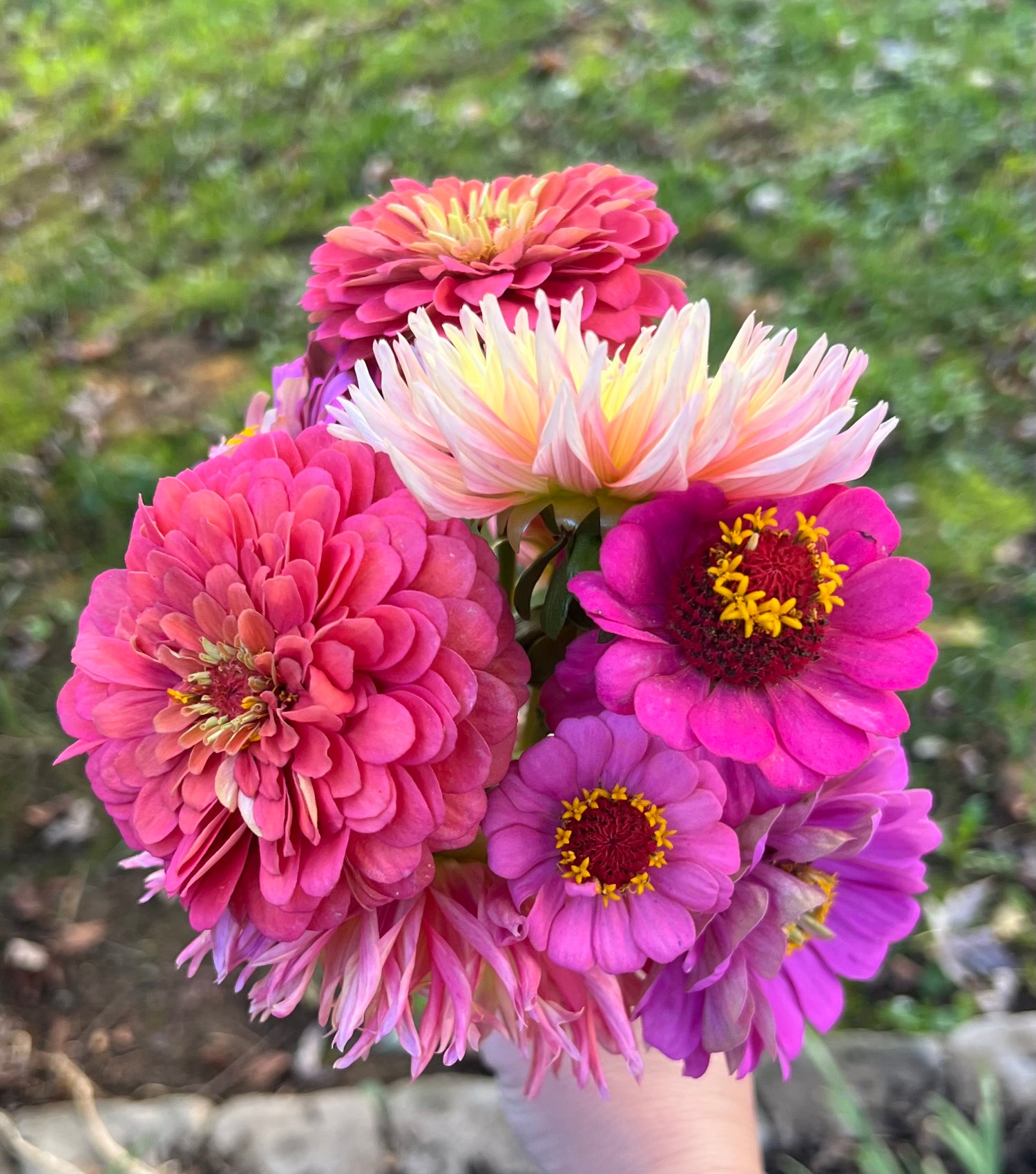 Vibrant Zinnia Bouquet from The Little Farm on Watauga
